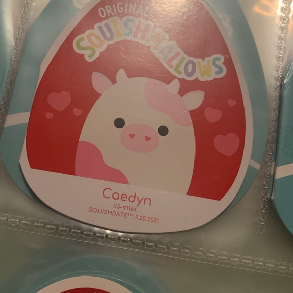 Caedyn heart nose cow 5 inch squishmallow NWT - Picture 2 of 7
